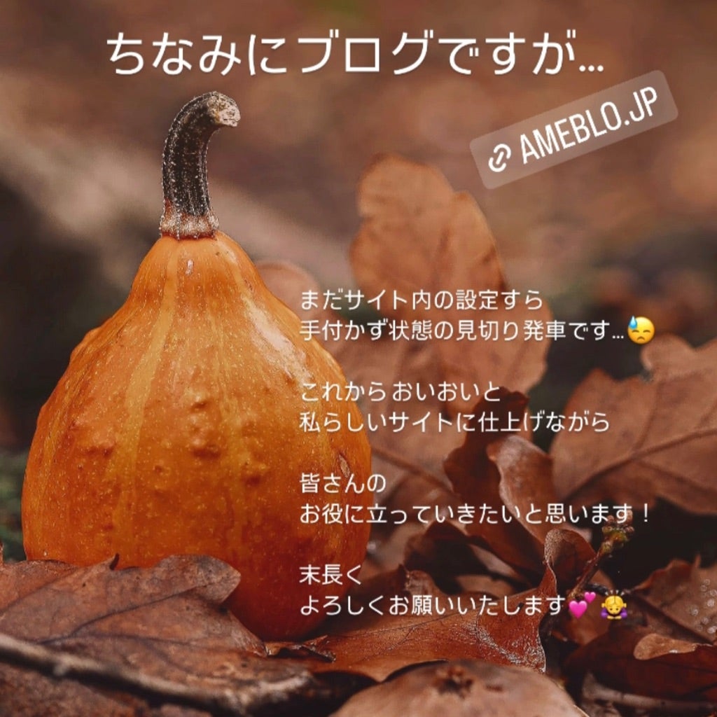 インスタでブログ開始のお知らせ。