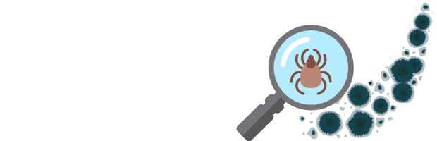 カビとダニを拡大