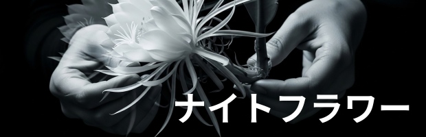 ナイトフラワー映画ポスター:北川景子主演