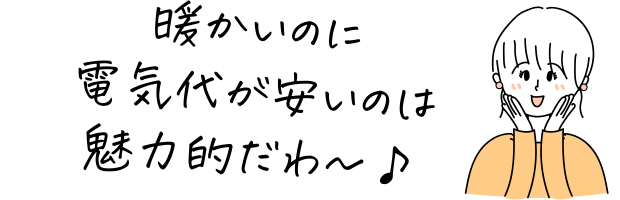 暖かいのに電気代が安いのは魅力的