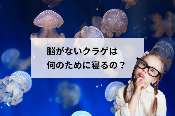 睡眠の質は家で決まる！健康を守る住環境と自然素材がつくる寝室。